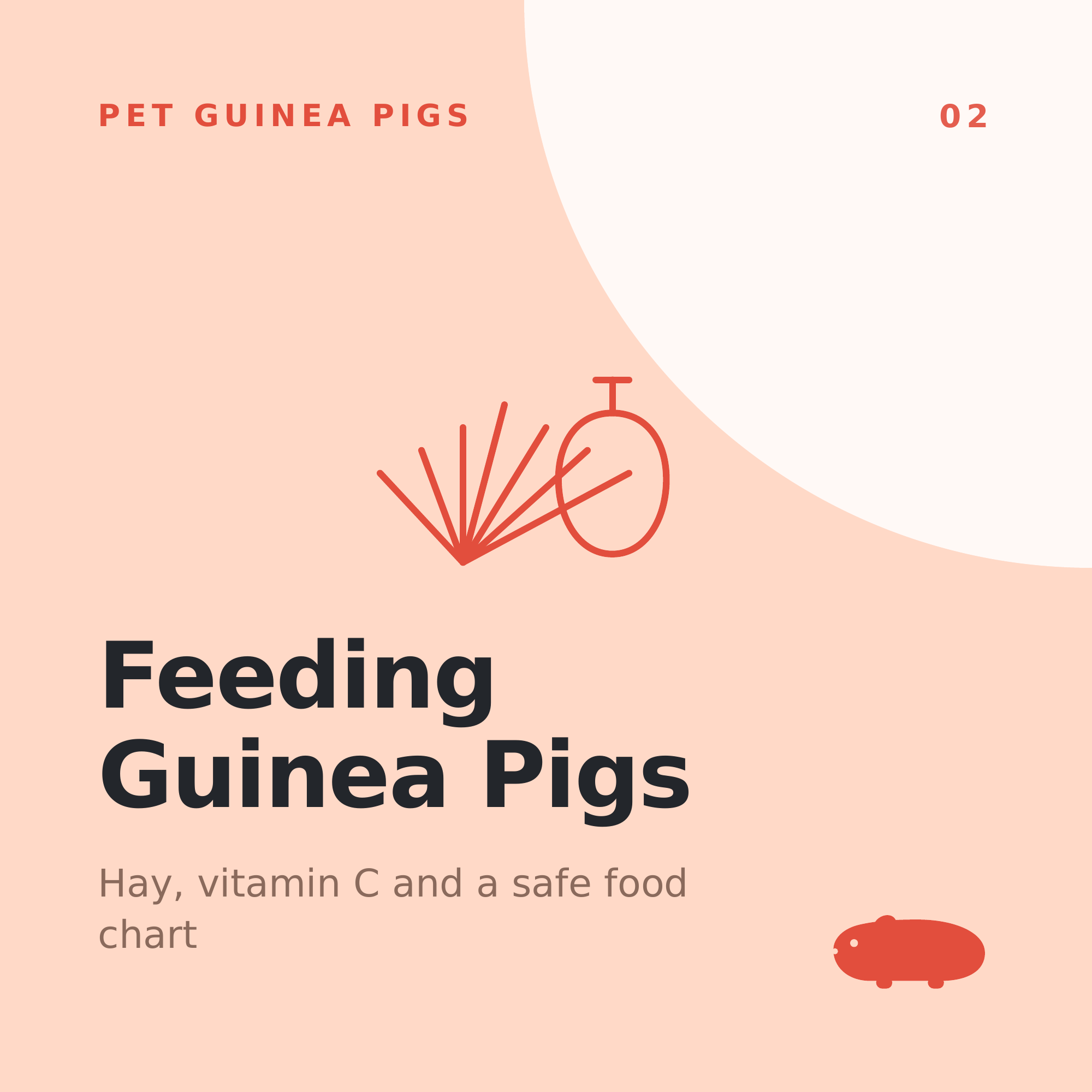 Feeding Guinea Pigs: Hay, Pellets &amp; Fresh Food
