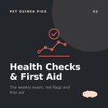 Guinea Pig Health Checks &amp; First Aid