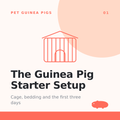 The Guinea Pig Starter Setup