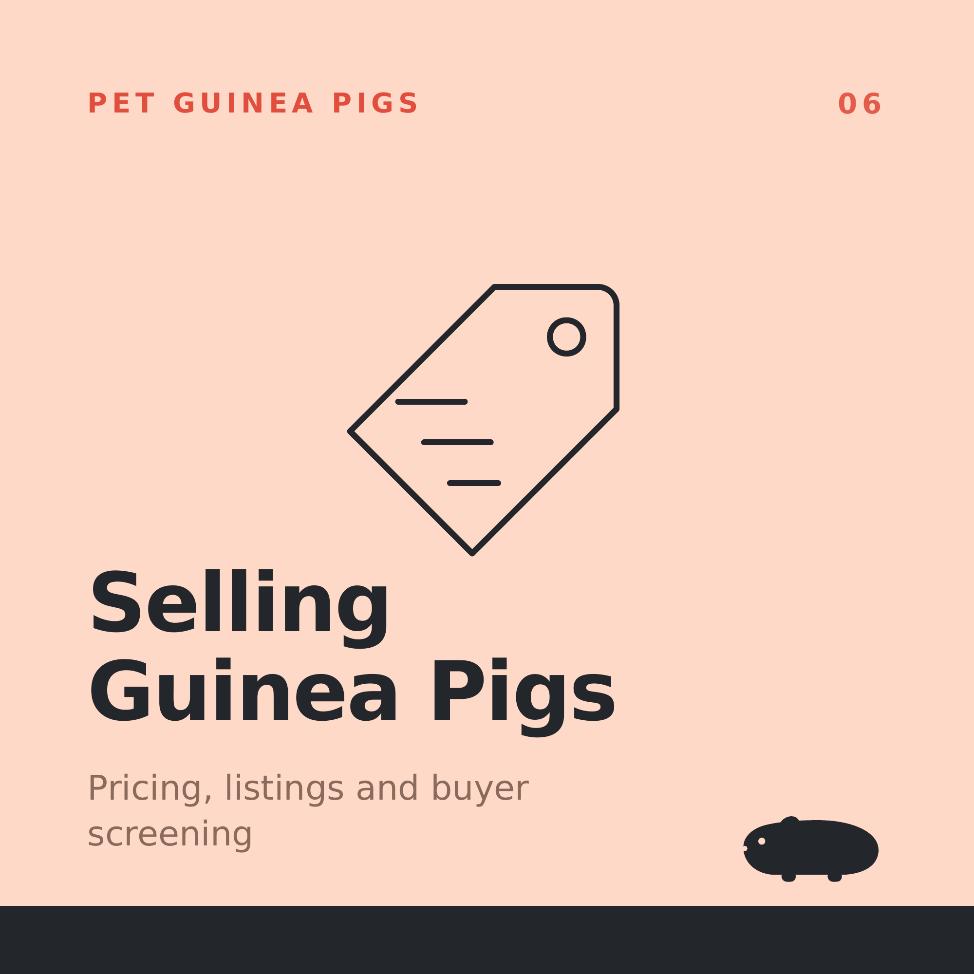 Selling Guinea Pigs: Pricing, Listings &amp; Buyer Screening